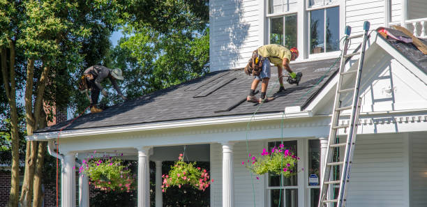 Best Roof Gutter Cleaning  in Coats, NC